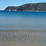 Riccio Di Mare