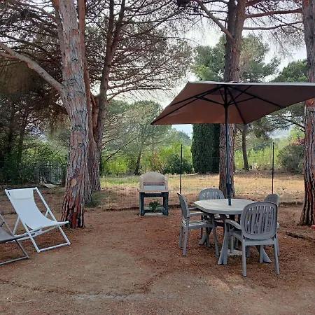 Riccio Di Mare