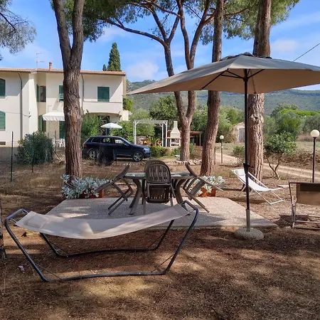 Riccio Di Mare